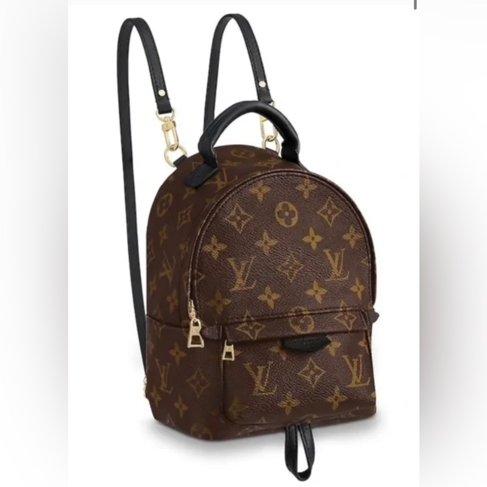 Louis Vuitton Palm Springs Mini Backpack Monogram Canvas